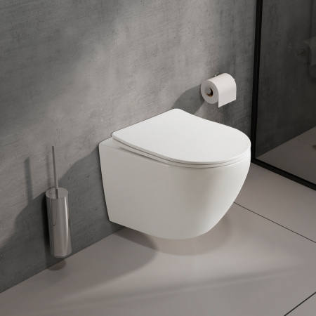 Унитаз подвесной PLAZA PL30116DP Унитаз подвесной PLAZA PL30116DP